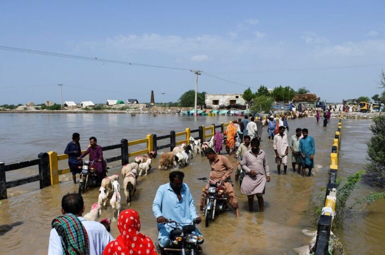 Pakistanis protect homes against devastating floods