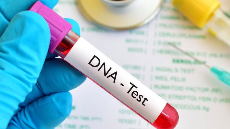 DNA testing without consent is breach of privacy, SC rules